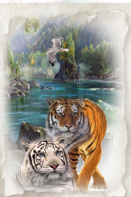 2 tigers- Modna kombinacija