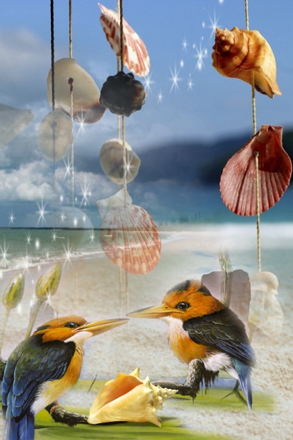 Birds on the beach- combinação de moda