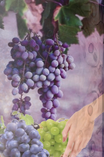 Sweet grapes- Fashion set