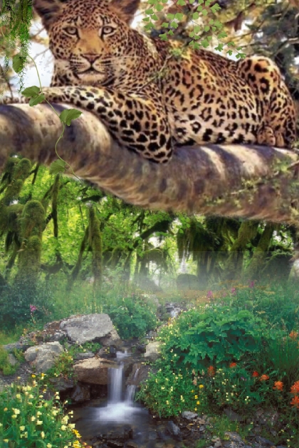Leopard at rest- Modna kombinacija