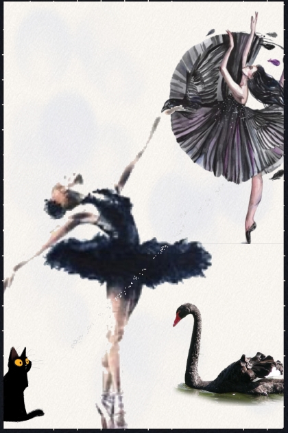 Black swan 3- Combinazione di moda