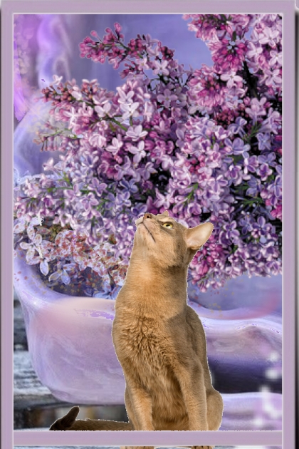 Cat, that loves flowers- Modekombination