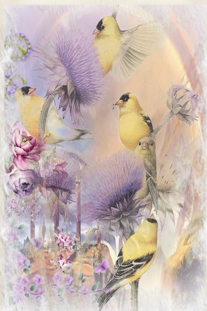 Yellow birds 2- Modna kombinacija