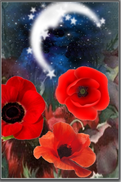 Poppies and the crescent- Kreacja