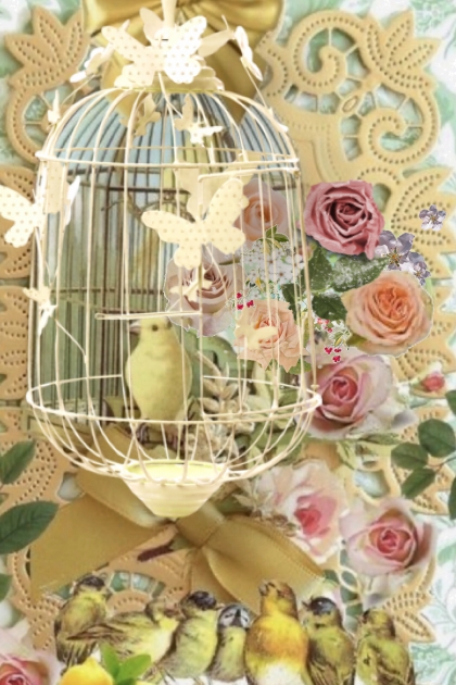A bird in the cage- Fashion set
