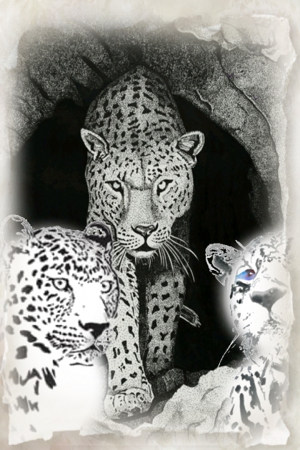 Three leopards- Combinazione di moda