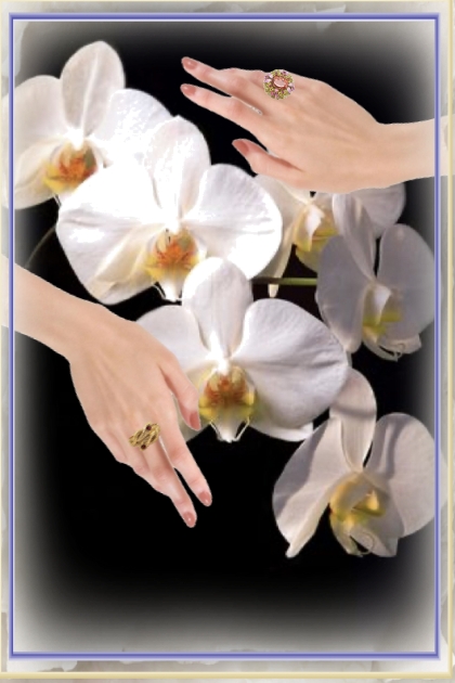 White orchids- combinação de moda