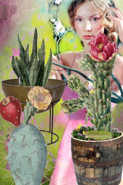 Succulents 2- Combinazione di moda