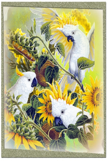 White parrots flock- Modekombination