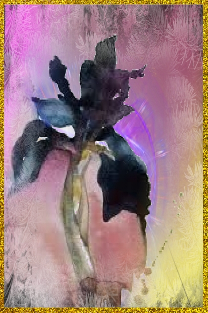 Black iris- Combinaciónde moda