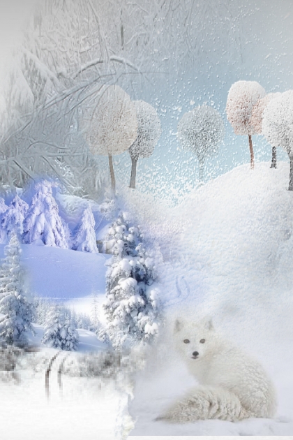 Polar fox- Modna kombinacija