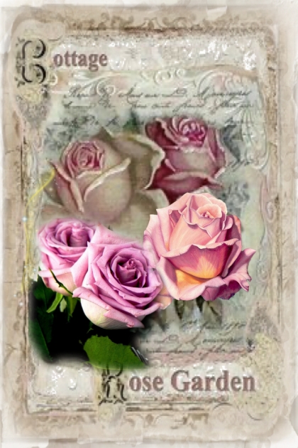 Rose garden 3- Combinazione di moda