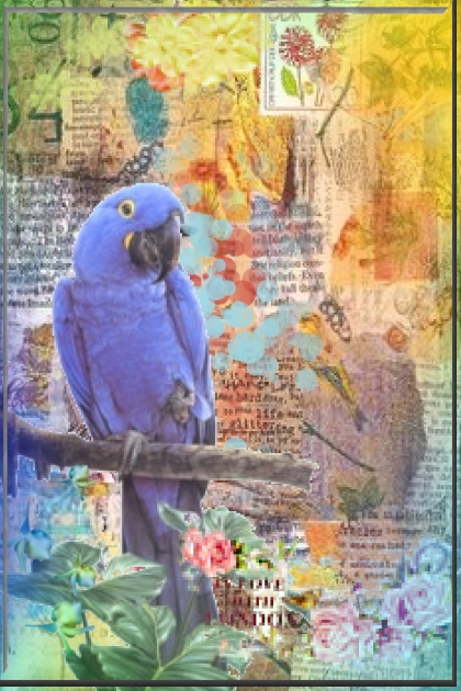Blue parrot 2