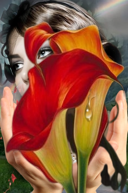 Red callas