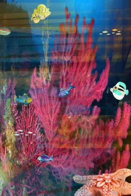 Colourful fish- combinação de moda