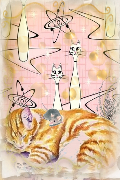Sweet cat`s dreams- combinação de moda