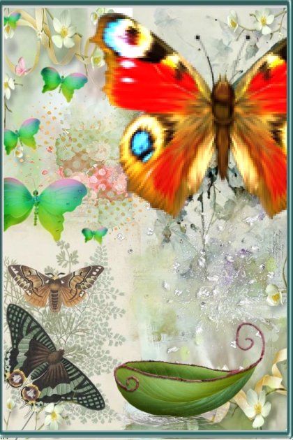 Butterflies 5- Modna kombinacija