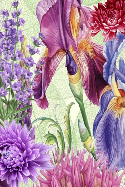 Bed of irises