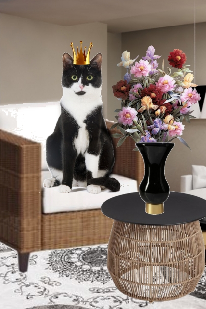 Queen cat- combinação de moda