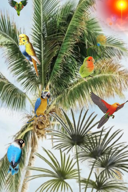 Parrots in the palm tree- Combinazione di moda