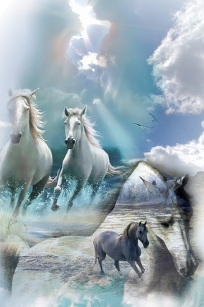 White horses- Combinazione di moda