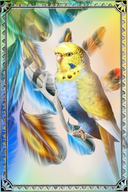 Bright parrot 2- Modekombination