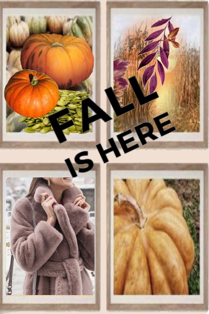 Fall is here- Modna kombinacija
