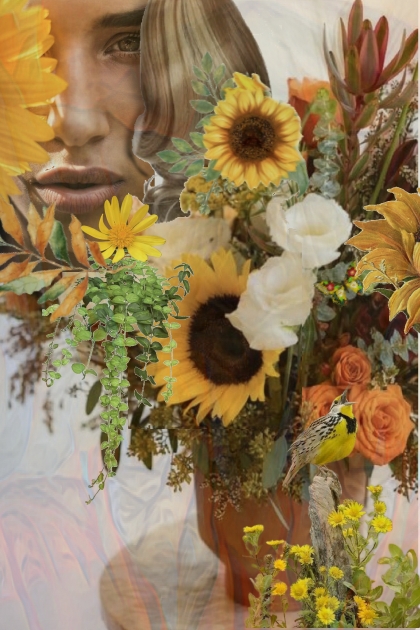 Sunflowers in autumn- Modna kombinacija