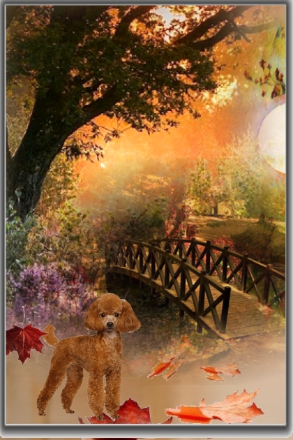 A dog in the autumn park- Modna kombinacija