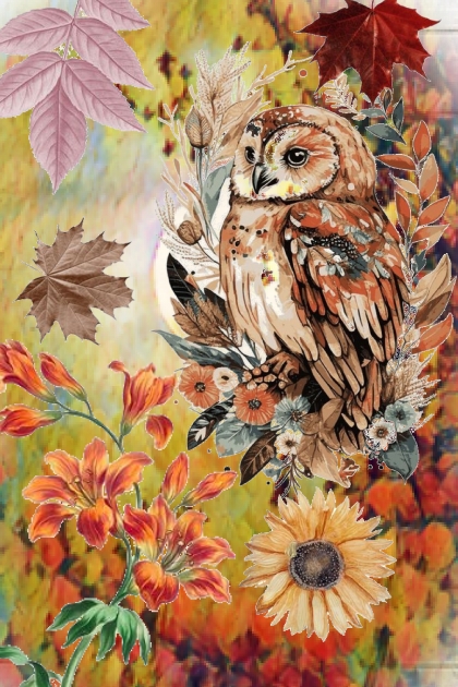 Wise owl- Модное сочетание