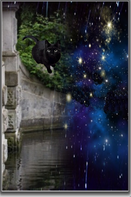 Starry night for a black cat
