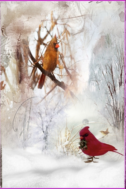 Red winter birds