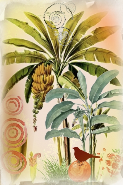 Banana land- combinação de moda