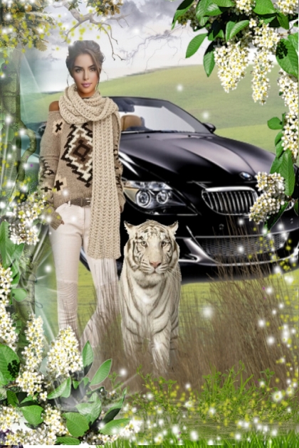 The White Tiger- Fashion set