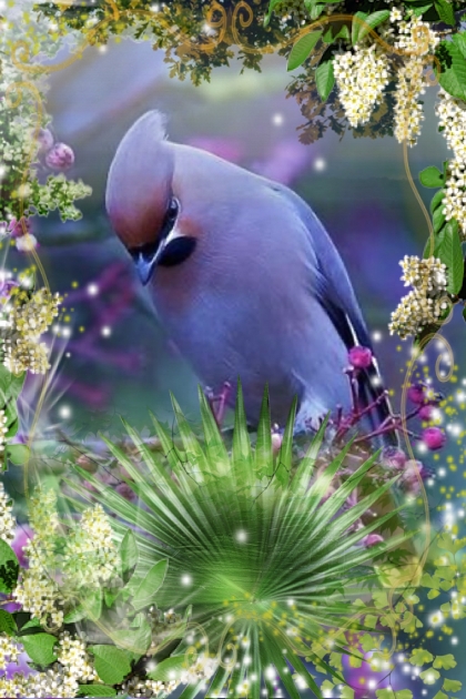 Lilac bird- Combinazione di moda