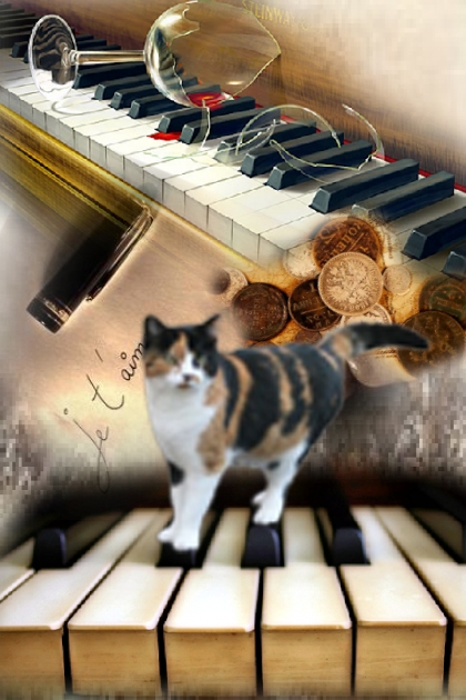 Feline piece of music- Modna kombinacija