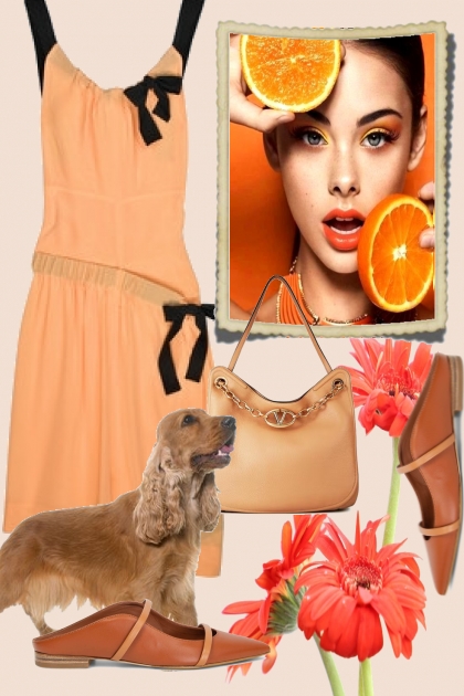 Outfit in orange- Fashion set