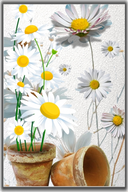 Daisies 2- Combinazione di moda