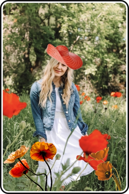 Red poppies 22