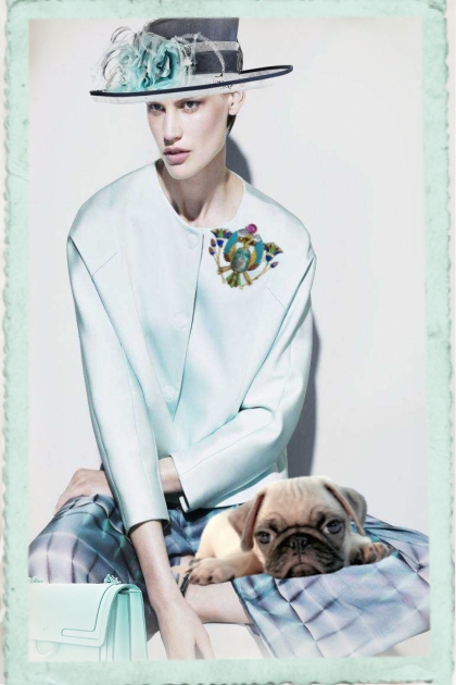 Pet in a lap- Combinazione di moda