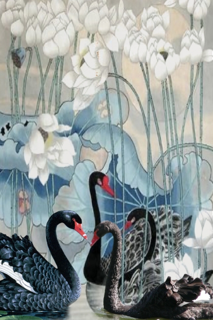 Black swans 22- 搭配