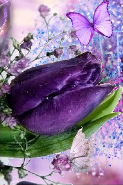 Purple tulips- Modekombination