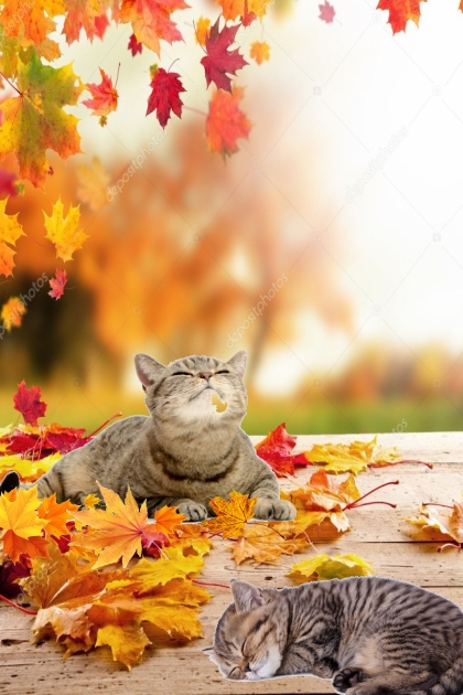 Enjoying sunny autumn