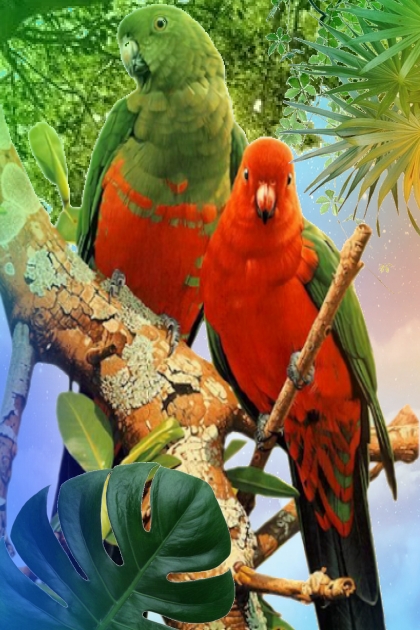 Parrots 22