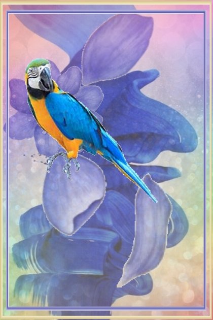 Blue and orange parrot- Kreacja