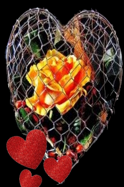 Golden rose in my heart