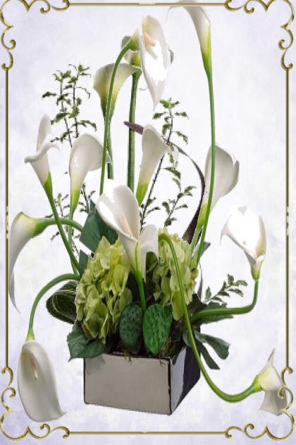 Calla lilies 2- Combinazione di moda