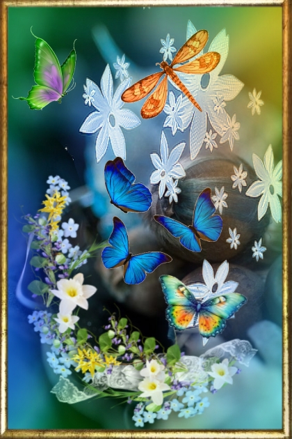 Butterflies and dragon-fly