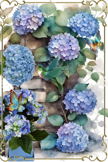 Hydrangea