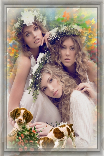 Forest fairies